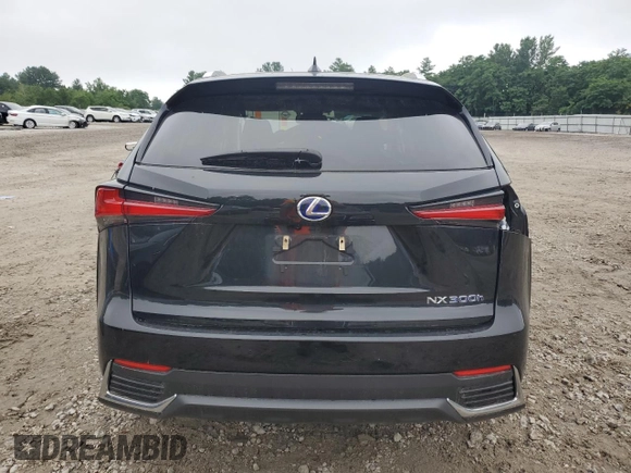 2021 Lexus NX 300h with VIN JTJGJRDZ8M2150521, listed as a Copart auction lot 62656295 with 62,746 mi miles and Salvage title. Bid and sale history available at DreamBid. Image 6.