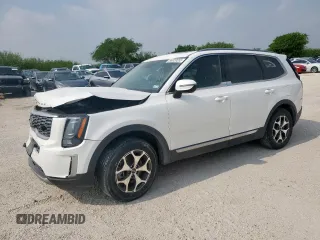 2020 Kia Telluride EX with VIN 5XYP3DHC5LG017161, listed as a Copart auction lot 56020055 with 124,413 mi miles and Salvage title. Bid and sale history available at DreamBid. Image 1.
