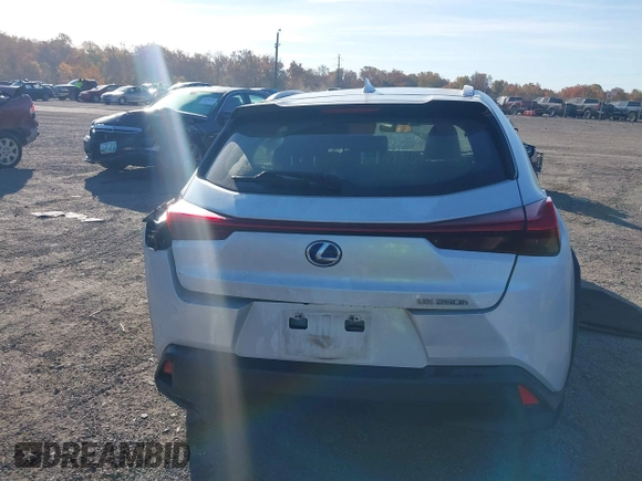 2019 Lexus UX 250h with VIN JTHU9JBH8K2004190, listed as a IAAI auction lot 40701904 with 76,805 mi miles and . Bid and sale history available at DreamBid. Image 17.