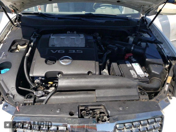 2004 Nissan Maxima SE with VIN 1N4BA41E94C900672, listed as a Copart auction lot 69086554 with 160,270 mi miles and Salvage Title. Bid and sale history available at DreamBid. Image 11.
