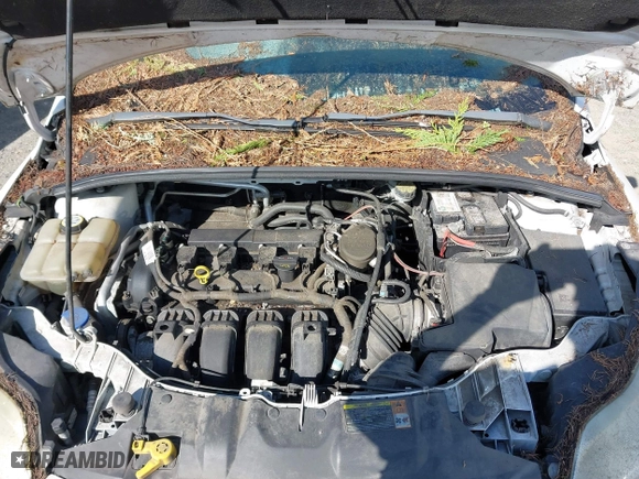 2012 Ford Focus SE with VIN 1FAHP3K23CL251716, listed as a IAAI auction lot 42036099 with 119,600 mi miles. Bid and sale history available at carsss.com. Image 10.