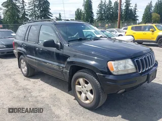 2001 Jeep Grand Cherokee Limited with VIN 1J4GW58N81C658685, listed as a IAAI auction lot 42596649 with 190,868 mi miles and . Bid and sale history available at DreamBid. Image 1.