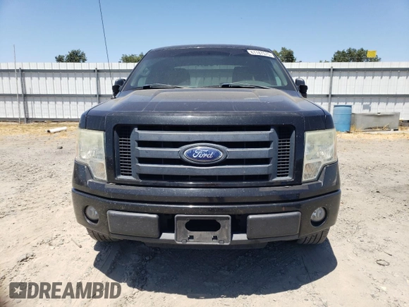 2010 Ford F-150 XL with VIN 1FTEX1CW5AKE07504, listed as a Copart auction lot 61187575 with 176,296 mi miles and Salvage title. Bid and sale history available at DreamBid. Image 5.