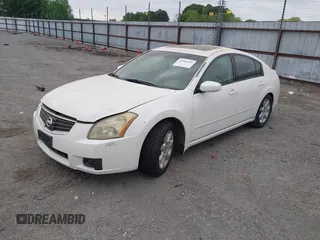 2008 Nissan Maxima 3.5 SL with VIN 1N4BA41EX8C832498, listed as a IAAI auction lot 41985509 with 175,209 mi miles. Bid and sale history available at carsss.com. Image 2.