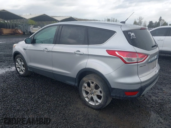 2013 Ford Escape SEL with VIN 1FMCU9H97DUD93157, listed as a IAAI auction lot 41955820 with 244,114 mi miles. Bid and sale history available at carsss.com. Image 3.