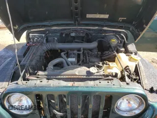 1999 Jeep Wrangler Sport with VIN 1J4FY19S2XP446059, listed as a Copart auction lot 51246105 with 183,072 mi miles and Clean Title. Bid and sale history available at carsss.com. Image 11.