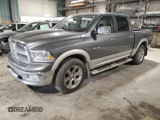 2010 Dodge 1500 Laramie with VIN 1D7RV1CT3AS161331, listed as a Copart auction lot 47033375 with 282,340 mi miles and Salvage Title. Bid and sale history available at DreamBid. Image 1.