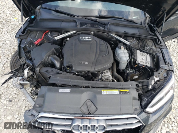 2019 Audi A5 Sportback Premium Plus with VIN WAUENCF50KA072998, listed as a Copart auction lot 66960033 with 0 mi miles. Bid and sale history available at carsss.com. Image 12.