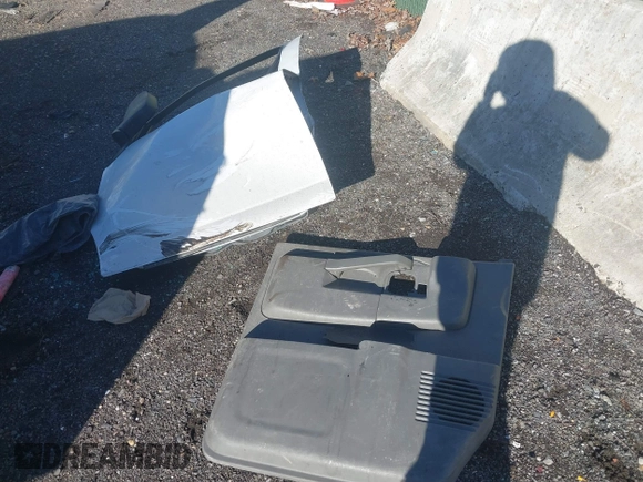 2019 Chevrolet Express Cargo with VIN 1GCWGBFG8K1317771, listed as a IAAI auction lot 41205692 with Not provided miles and . Bid and sale history available at DreamBid. Image 12.