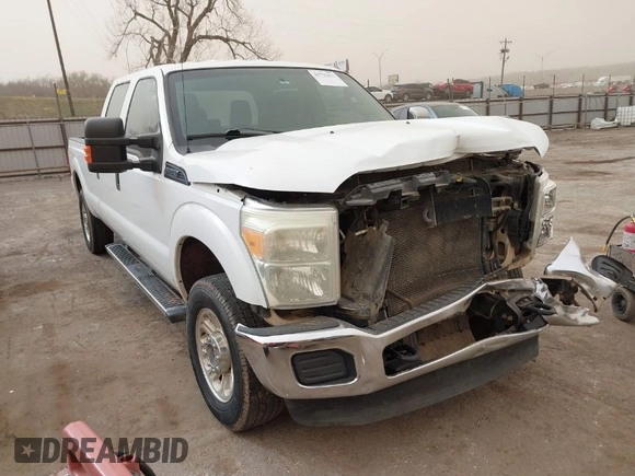 2011 Ford F-250 XL with VIN 1FT7W2B64BEB04331, listed as a IAAI auction lot 41795413 with Not provided miles and . Bid and sale history available at DreamBid. Image 1.