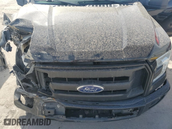 2016 Ford F-150 XL with VIN 1FTEX1C88GKD21520, listed as a Copart auction lot 49377425 with 210,719 mi miles and Salvage Title. Bid and sale history available at carsss.com. Image 11.