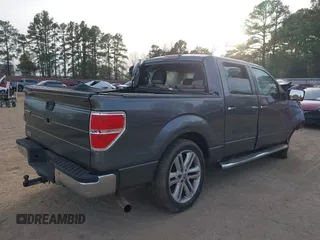 2010 Ford F-150 XL with VIN 1FTEW1C83AFC16015, listed as a IAAI auction lot 41332988 with Not Provided miles and . Bid and sale history available at DreamBid. Image 4.