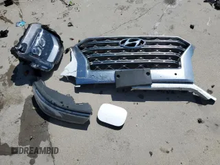 2020 Hyundai Palisade Limited with VIN KM8R5DHE9LU102289, listed as a Copart auction lot 54194415 with 98,282 mi miles and Salvage title. Bid and sale history available at DreamBid. Image 13.
