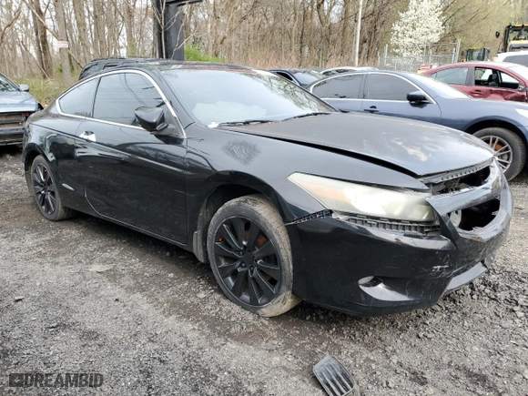 2009 Honda Accord Cpe EX-L with VIN 1HGCS22859A004625, listed as a Copart auction lot 51747325 with NaN miles and Salvage Title. Bid and sale history available at carsss.com. Image 4.