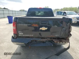 2009 Chevrolet Silverado 1500 Work Truck with VIN 1GCEK19069Z207199, listed as a Copart auction lot 51311125 with 114,759 mi miles and Salvage Title. Bid and sale history available at DreamBid. Image 6.