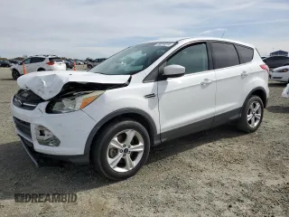 2014 Ford Escape SE with VIN 1FMCU0G93EUB17038, listed as a Copart auction lot 49819315 with 0 mi miles and Salvage Title. Bid and sale history available at carsss.com. Image 1.