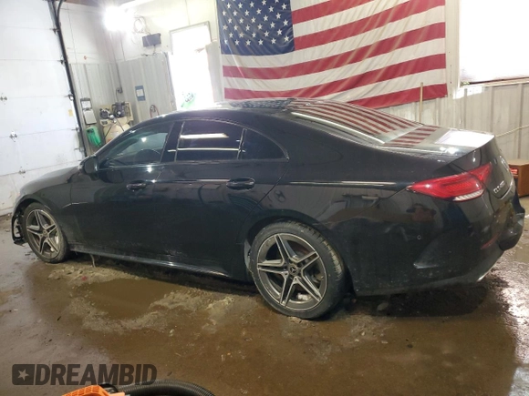 2019 Mercedes-Benz CLS with VIN WDD2J5KB3KA028296, listed as a Copart auction lot 46172755 with 64,156 mi miles and Salvage Title. Bid and sale history available at carsss.com. Image 2.