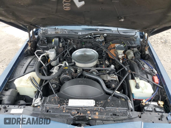 1990 Cadillac Brougham z VIN 1G6DW54Y9LR710711, wystawiony jako Copart lot #57469165 z przebiegiem Nie podano mil oraz Nie do naprawy • Non repairable. Historia ofert i sprzedaży dostępna na DreamBid. Obrazek 11.