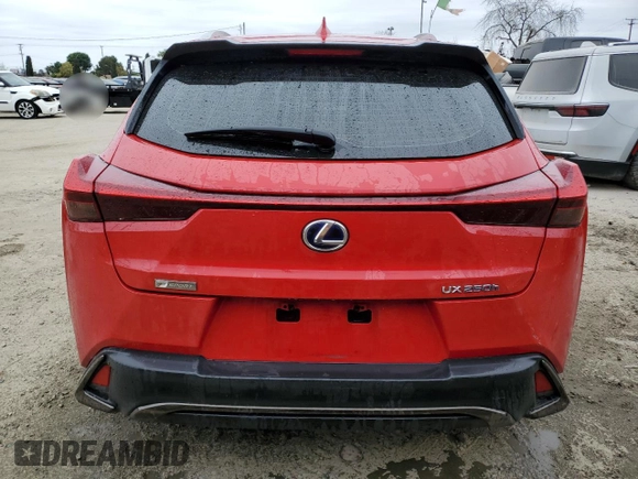 2019 Lexus UX 250h with VIN JTHU9JBH6K2018718, listed as a Copart auction lot 53734775 with 72,151 mi miles and Salvage title. Bid and sale history available at DreamBid. Image 6.