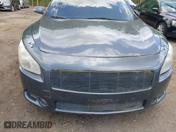 2009 Nissan Maxima SV with VIN 1N4AA51E29C800664, listed as a IAAI auction lot 42164024 with Not Provided miles and . Bid and sale history available at DreamBid. Image 6.