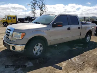 2010 Ford F-150 XL with VIN 1FTEW1C87AKA25821, listed as a Copart auction lot 49008285 with 0 mi miles and Salvage Title. Bid and sale history available at carsss.com. Image 1.