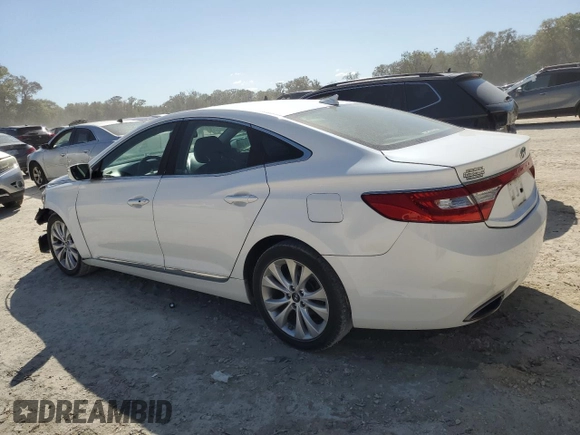 2014 Hyundai Azera with VIN KMHFG4JG1EA385784, listed as a Copart auction lot 49060695 with 168,953 mi miles and Salvage title. Bid and sale history available at DreamBid. Image 2.