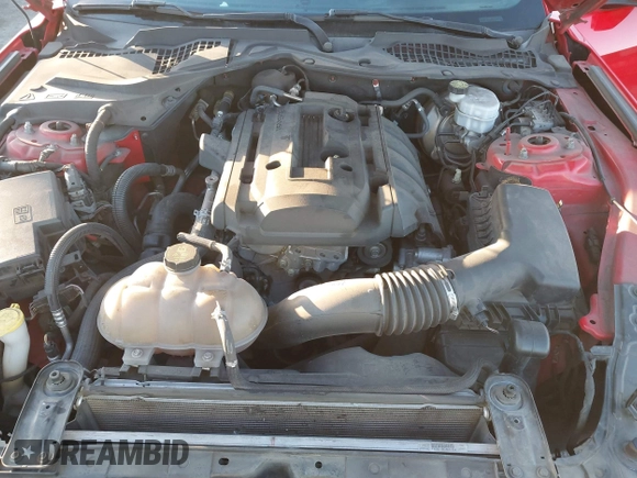 2019 Ford Mustang EcoBoost with VIN 1FA6P8TH3K5172668, listed as a IAAI auction lot 41059758 with 115,224 mi miles and . Bid and sale history available at carsss.com. Image 10.