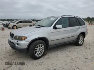 2005 BMW X5 3.0i with VIN 5UXFA13575LU46719, listed as a Copart auction lot 53443085 with 126,041 mi miles and Salvage Title. Bid and sale history available at carsss.com. Image 1.