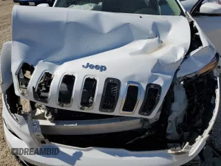 2017 Jeep Cherokee Limited with VIN 1C4PJMDS2HW562845, listed as a Copart auction lot 55486065 with 156,775 mi miles and Salvage Title. Bid and sale history available at carsss.com. Image 12.