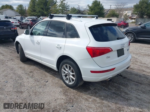 2010 Audi Q5 Premium with VIN WA1CKAFP3AA051936, listed as a IAAI auction lot 41808963 with 215,704 mi miles. Bid and sale history available at carsss.com. Image 3.