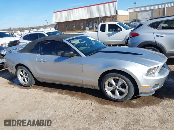 2010 Ford Mustang V6 with VIN 1ZVBP8EN9A5122431, listed as a IAAI auction lot 41802456 with 150,524 mi miles and . Bid and sale history available at carsss.com. Image 13.