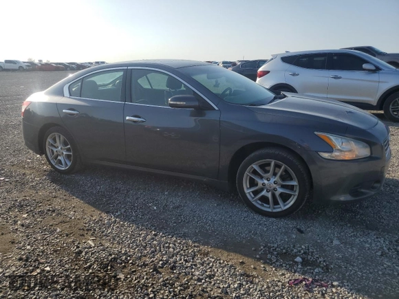 2010 Nissan Maxima 3.5 SV with VIN 1N4AA5AP2AC825604, listed as a Copart auction lot 52800575 with 220,373 mi miles and Salvage Title. Bid and sale history available at carsss.com. Image 4.
