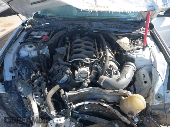 2016 Ford Mustang GT with VIN 1FA6P8CF8G5278717, listed as a IAAI auction lot 41371671 with Not Provided miles and . Bid and sale history available at DreamBid. Image 10.