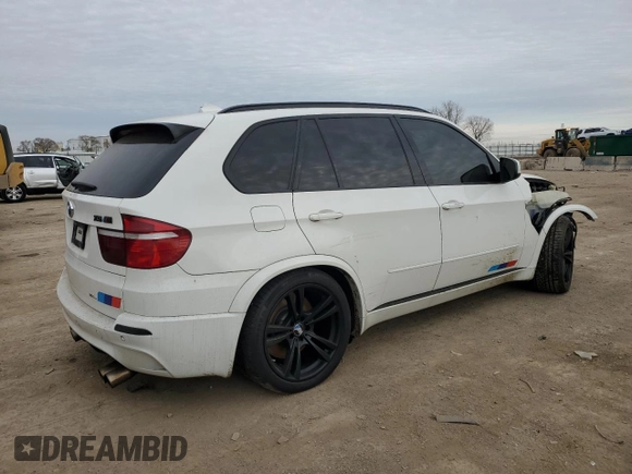2010 BMW X5 M with VIN 5YMGY0C55ALK25665, listed as a Copart auction lot 82820384 with 118,956 mi miles and Salvage Title. Bid and sale history available at carsss.com. Image 3.