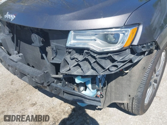 2017 Jeep Grand Cherokee Summit with VIN 1C4RJFJT9HC759417, listed as a IAAI auction lot 42199460 with 129,113 mi miles and . Bid and sale history available at DreamBid. Image 6.