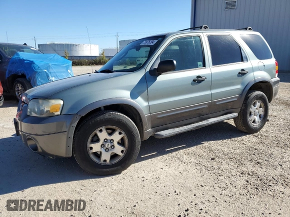 2006 Ford Escape XLT with VIN 1FMYU93186KA54963, listed as a Copart auction lot 73976204 with 60,816 mi miles and Clean Title. Bid and sale history available at carsss.com. Image 1.