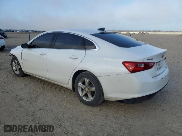 2020 Chevrolet Malibu LS with VIN 1G1ZB5ST7LF150560, listed as a Copart auction lot 81924074 with 132,279 mi miles and Salvage Title. Bid and sale history available at DreamBid. Image 2.