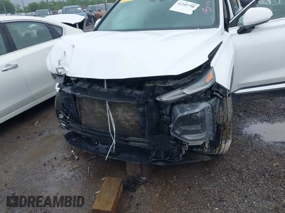 2019 Hyundai Santa Fe SE with VIN 5NMS2CAD1KH032805, listed as a IAAI auction lot 42385798 with Not provided miles and . Bid and sale history available at DreamBid. Image 6.