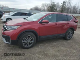 2022 Honda CR-V EX-L with VIN 7FARW2H89NE046046, listed as a Copart auction lot 51319615 with 31,198 mi miles and Clean Title. Bid and sale history available at carsss.com. Image 1.
