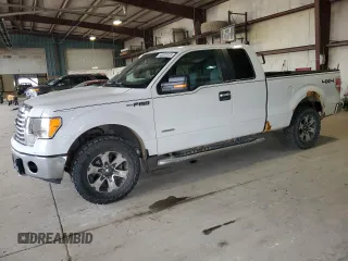 2012 Ford F-150 XL with VIN 1FTFX1ET3CKD65618, listed as a Copart auction lot 55087075 with 248,373 mi miles and Salvage title. Bid and sale history available at DreamBid. Image 1.