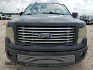 2010 Ford F-150 with VIN 1FTEW1CV2AFA87688, listed as a Copart auction lot 55324715 with 262,569 mi miles and Clean title. Bid and sale history available at DreamBid. Image 5.