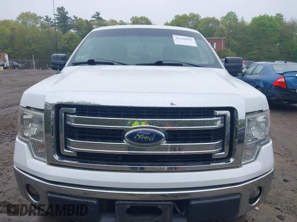2013 Ford F-150 XL with VIN 1FTFX1EF0DFA84252, listed as a IAAI auction lot 42186869 with 206,644 mi miles and . Bid and sale history available at carsss.com. Image 6.