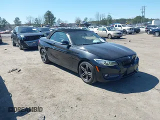 2017 BMW 2 Series with VIN WBA2M9C38HV717684, listed as a IAAI auction lot 41725947 with 113,320 mi miles and . Bid and sale history available at DreamBid. Image 1.