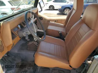 1994 Jeep Wrangler S with VIN 1J4FY19P7RP437520, listed as a Copart auction lot 57447085 with 124,023 mi miles and Salvage title. Bid and sale history available at DreamBid. Image 7.