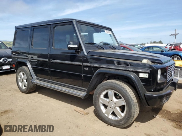 2003 Mercedes-Benz G with VIN WDCYR49E23X135498, listed as a Copart auction lot 53326085 with 173,667 mi miles and Salvage Title. Bid and sale history available at carsss.com. Image 4.