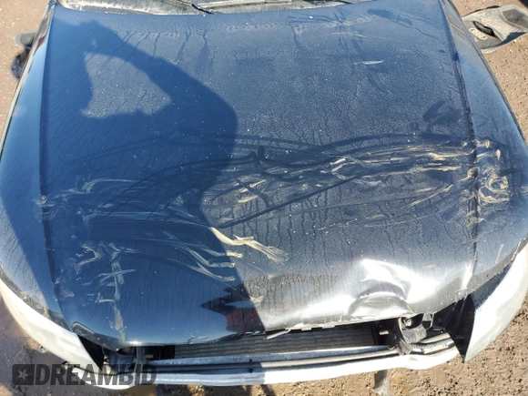 2009 Audi A4 with VIN WAULF68K79N031358, listed as a Copart auction lot 48255455 with Not provided miles and Clean title. Bid and sale history available at DreamBid. Image 11.