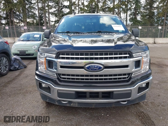 2019 Ford F-150 XL with VIN 1FTFW1E43KKD13822, listed as a IAAI auction lot 41826853 with 43,230 mi miles and . Bid and sale history available at DreamBid. Image 12.
