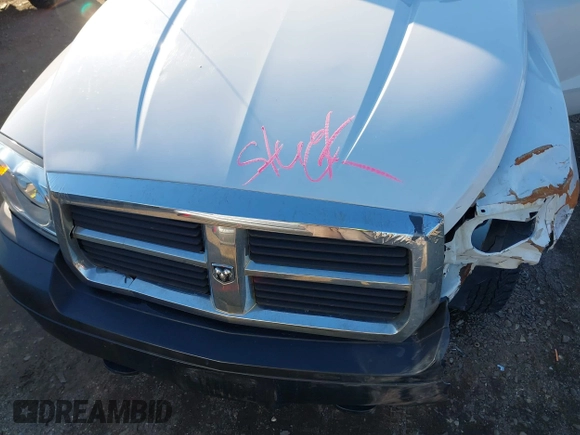 2007 Dodge Dakota ST with VIN 1D7HW22K17S202605, listed as a IAAI auction lot 41322519 with 199,626 mi miles and . Bid and sale history available at DreamBid. Image 10.