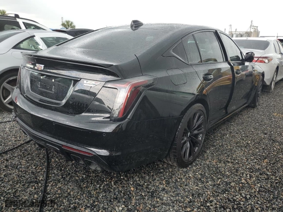 2023 Cadillac CT5-V Blackwing with VIN 1G6DY5R68P0860479, listed as a Copart auction lot 74024784 with NaN miles and Non Repairable. Bid and sale history available at carsss.com. Image 3.