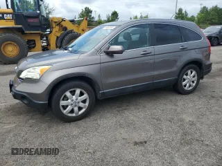 2009 Honda CR-V EX-L z VIN 5J6RE48749L045546, wystawiony jako Copart lot #59562865 z przebiegiem 264 505 mil mil oraz Czysty tytuł • Clean title. Historia ofert i sprzedaży dostępna na DreamBid. Obrazek 1.